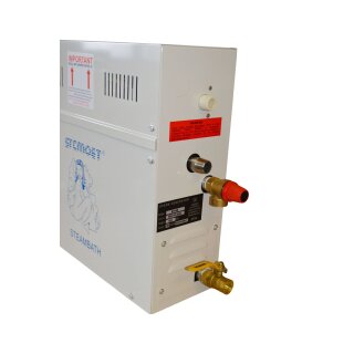 Dampfgenerator 6 kW
