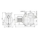 Selbstansaugende Poolpumpe SVQ100